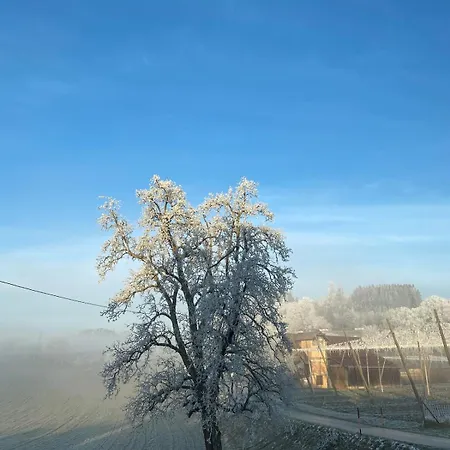 Hopfenblick Dachterasse 3sz Bodenseeregion 테트낭