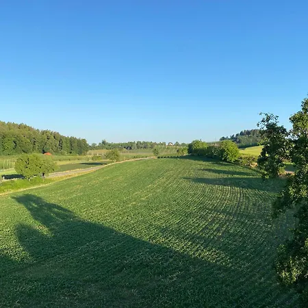 Hopfenblick Dachterasse 3sz Bodenseeregion 泰特南