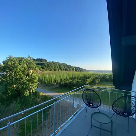 公寓 Hopfenblick Dachterasse 3sz Bodenseeregion 泰特南